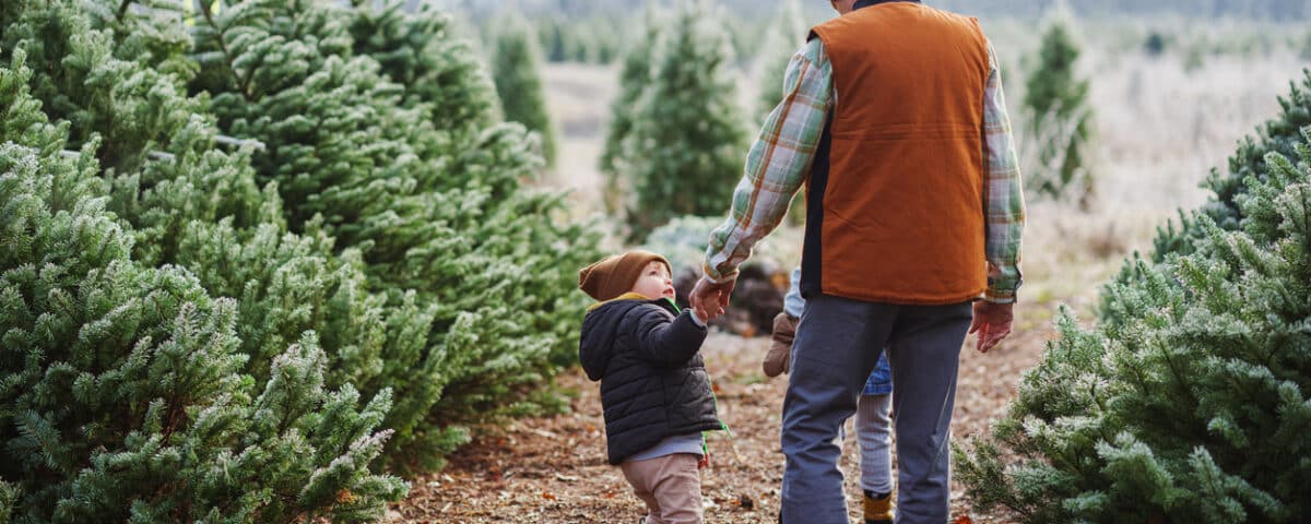 Happy toddler boy at a Christmas tree farm with his grandpa