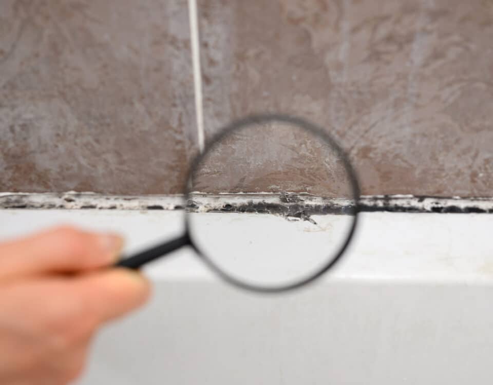 Looking at black mold under magnifying glass. Black mold has formed on silicone putty in bathroom. Cleaning a dirty bathroom.